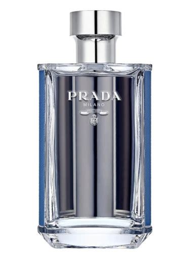 l eau di prada pour homme l'eau|prada l'homme fragrantica.